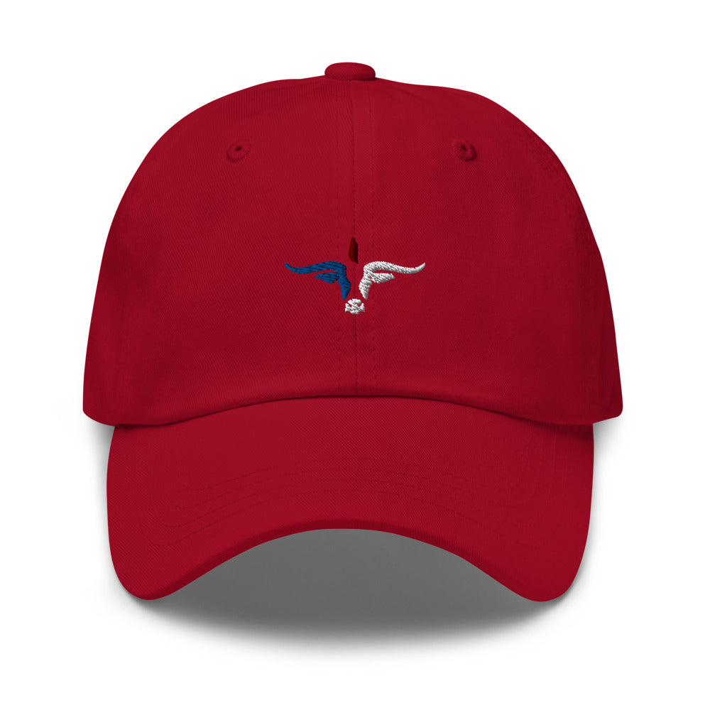 MLS Hat Major League Soccer Dad Hat Ball Cap Hat Shop American Soccer FC Dallas